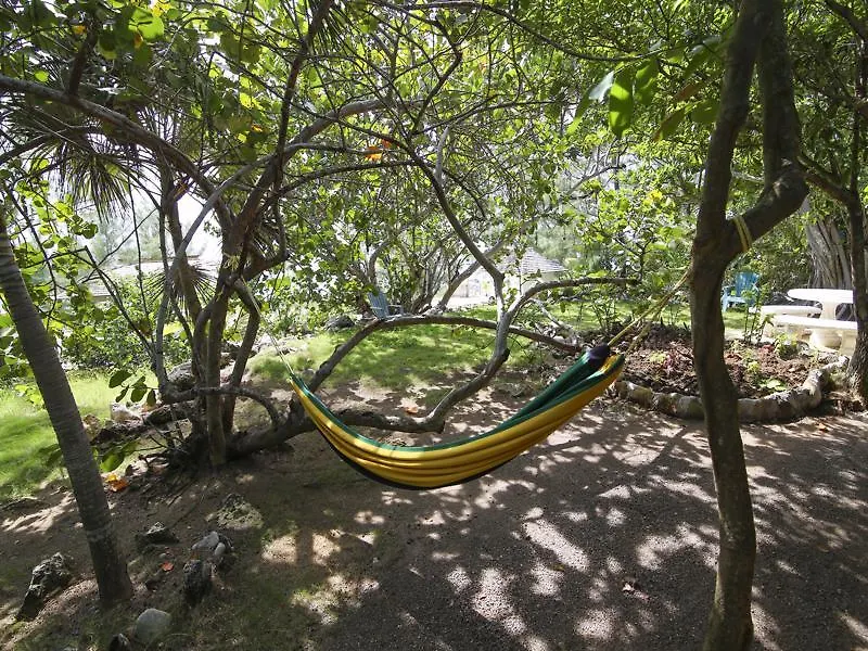 Hotel Tingalayas Retreat Negril