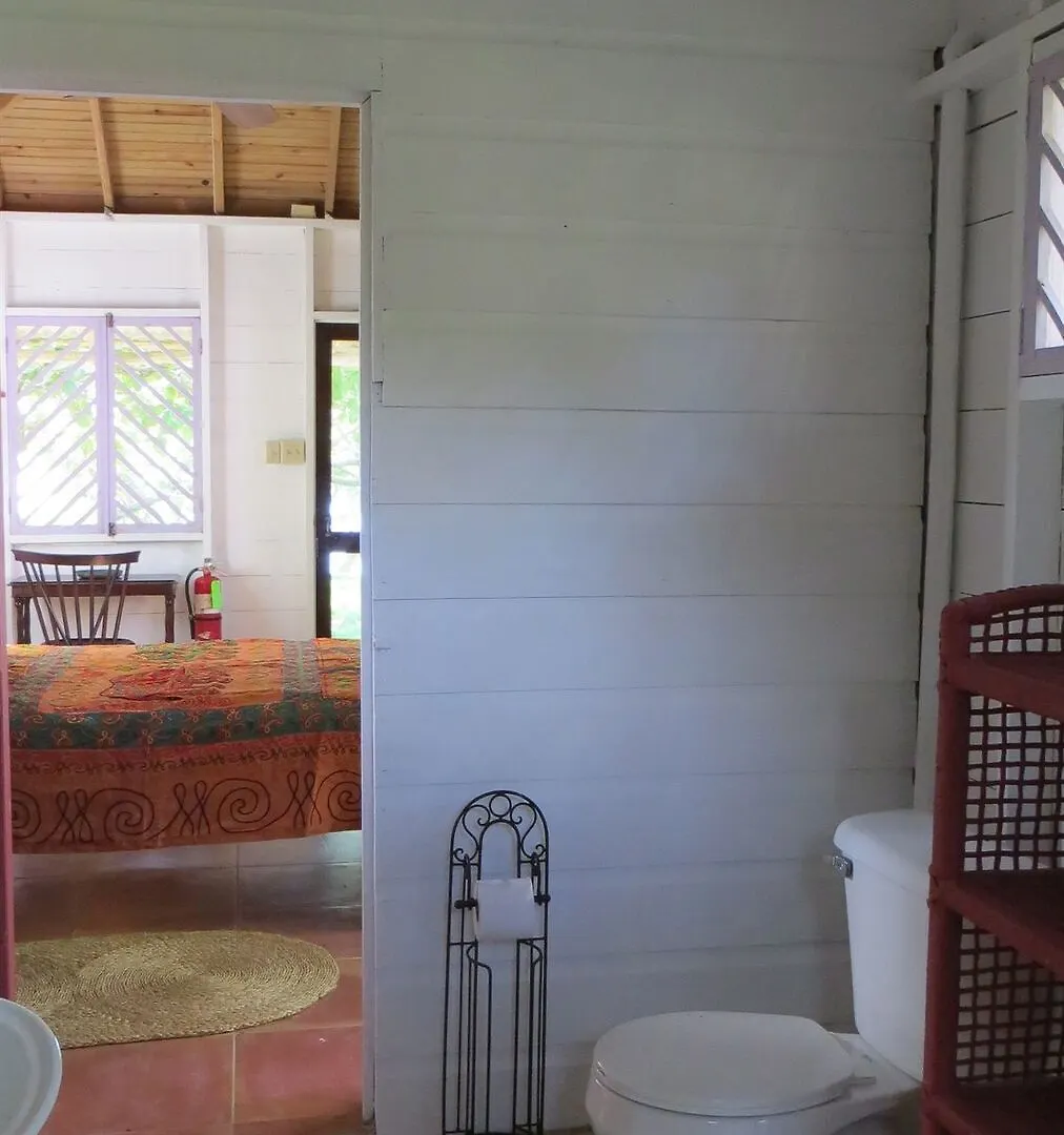 ***  Hotel Tingalayas Retreat Negril Giamaica