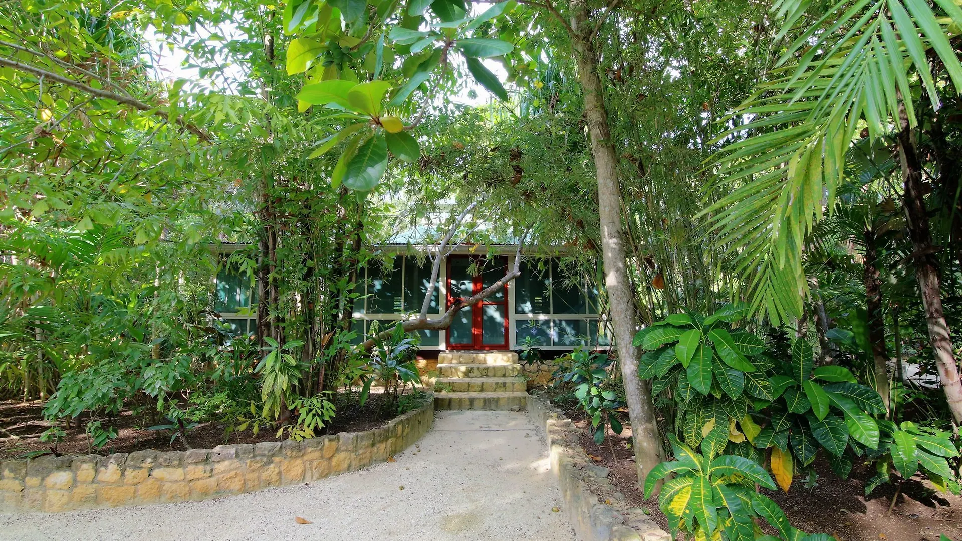 ***  Hotel Tingalayas Retreat Negril Giamaica