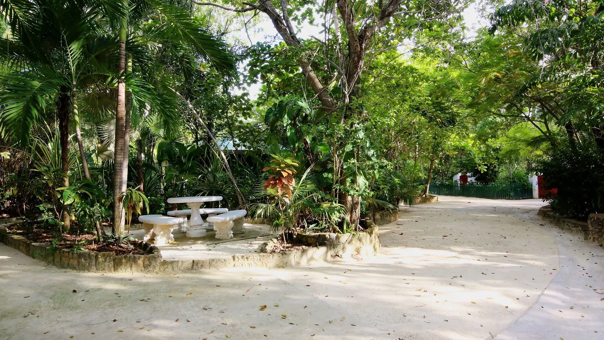 Tingalayas Retreat Hotell Negril