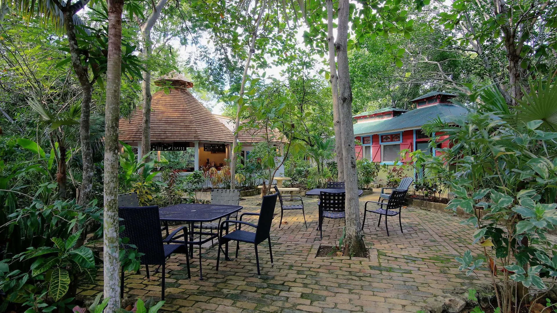 Tingalayas Retreat Hotell Negril
