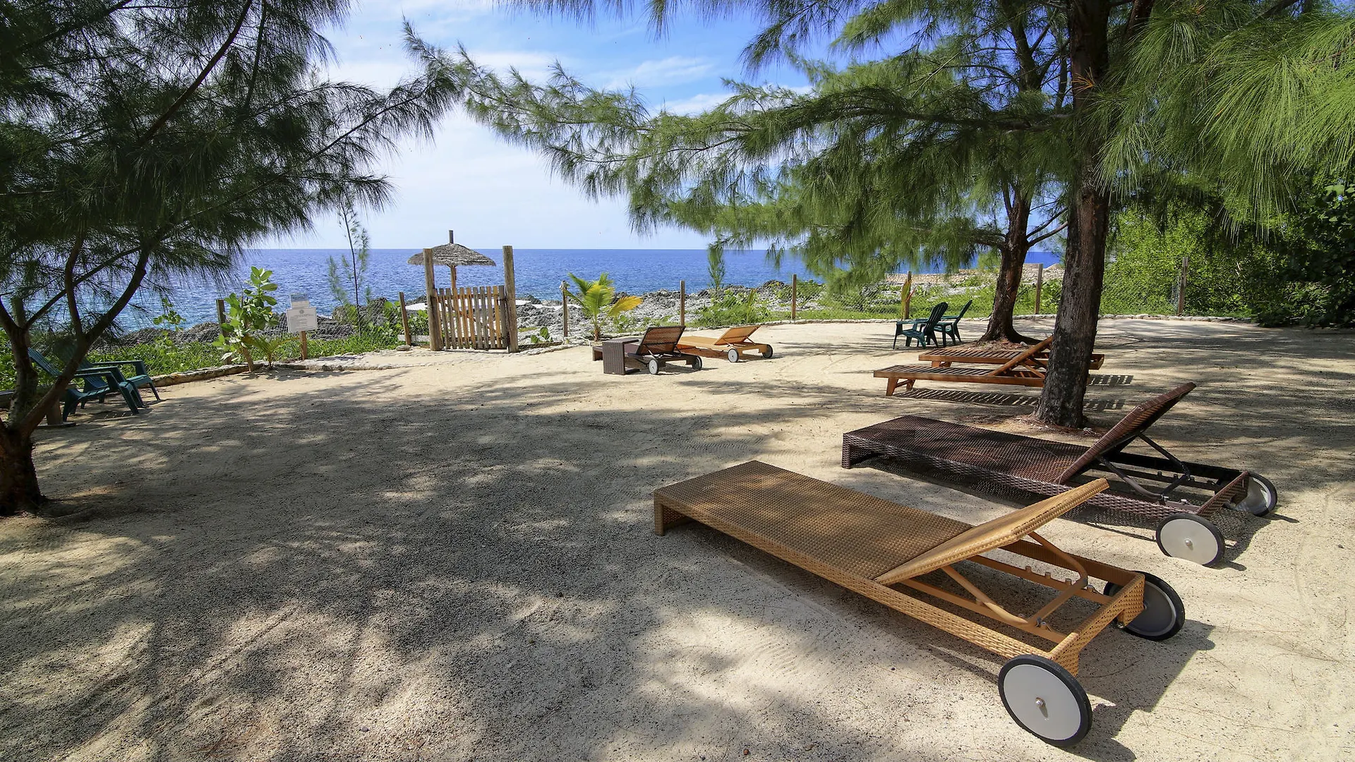 Tingalayas Retreat Hotell Negril