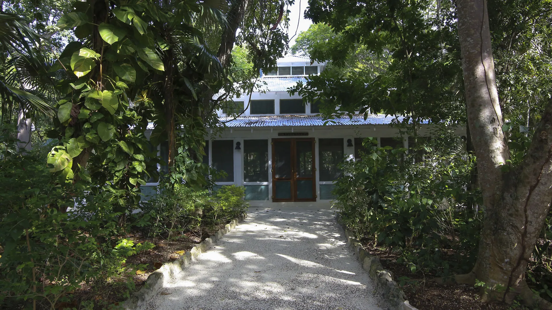 Tingalayas Retreat Hotell Negril